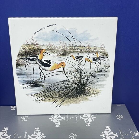 Ceramic 8x8 Avocet Bird Art Tile Trivet Mexico Recurvirostra Americana - Picture 1 of 7